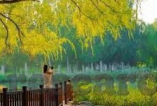 欧洲沙滩足球比分-欧洲沙滩足球比分，激情与竞技的夏日交响曲