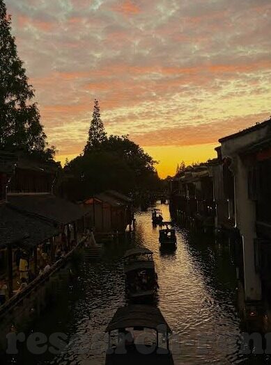 森林舞会兑换码几位数-森林舞会兑换码的秘密，几位数背后的故事