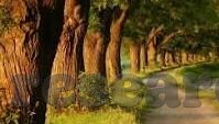 威尼斯人注册-威尼斯人注册，探索在线赌博的新世界